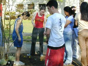 Click to see DSCN0928.jpg