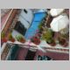 48DSCN5482.jpg