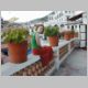 56DSCN5487.jpg
