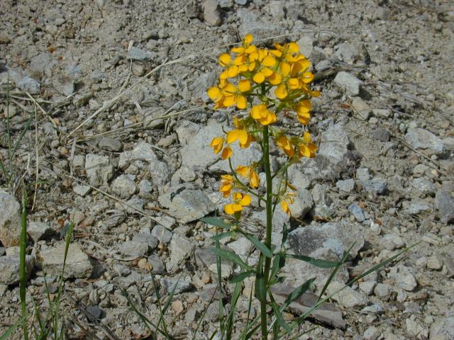 image01.jpg