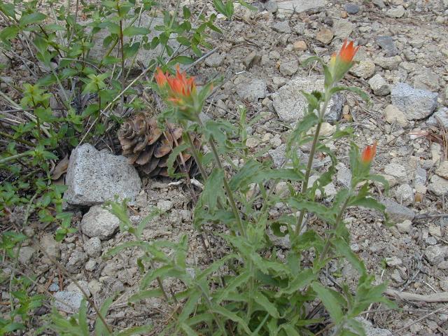 image03.jpg