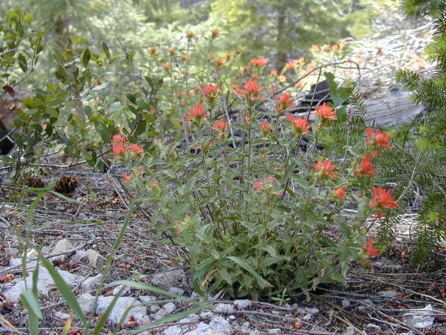 image04.jpg