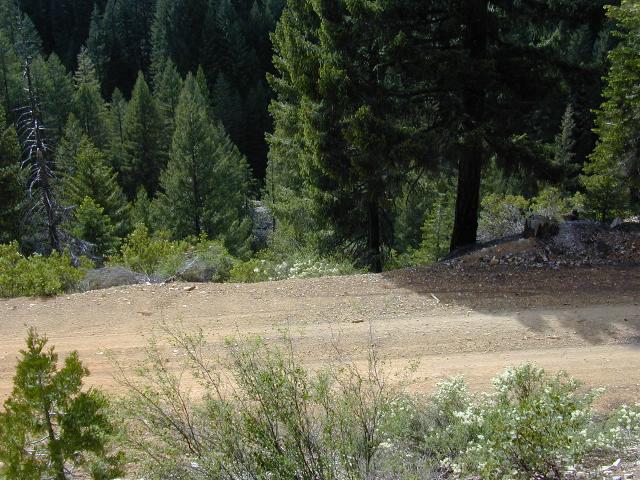 image06.jpg