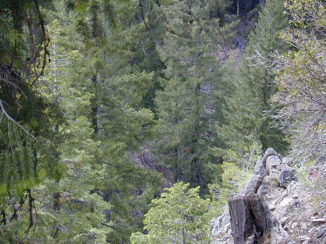 image07.jpg