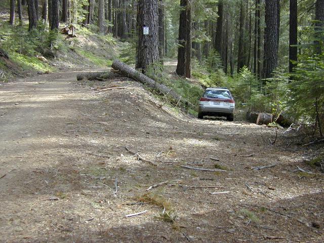 image11.jpg