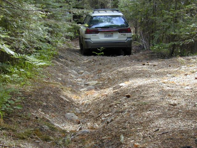 image12.jpg