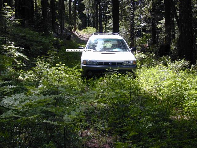 image29.jpg