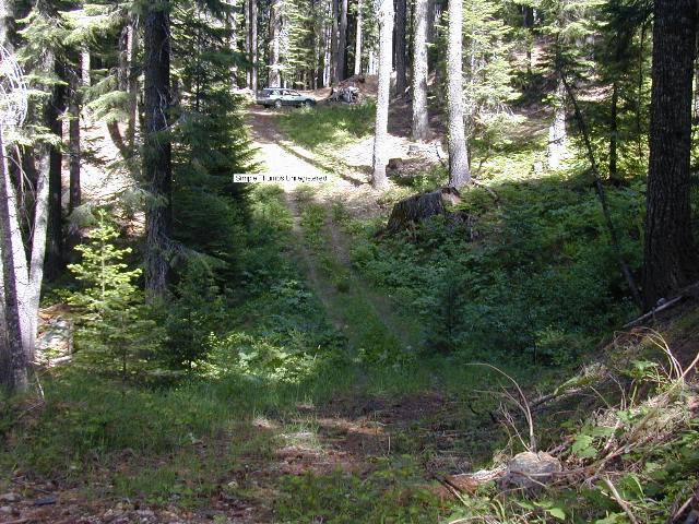 image33.jpg
