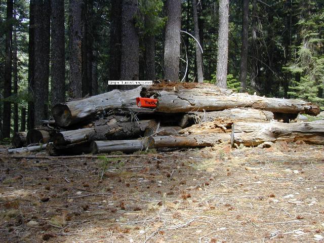 image35.jpg