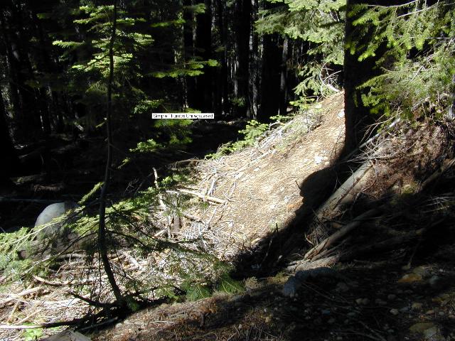 image36.jpg