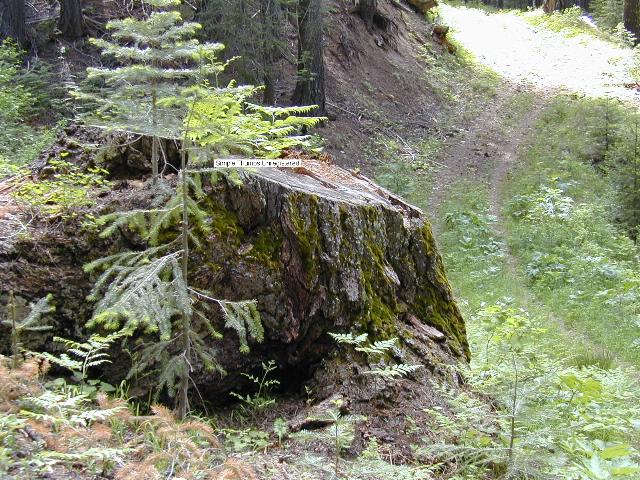 image38.jpg