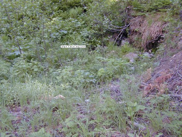 image39.jpg