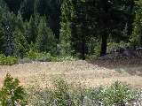 image06.jpg