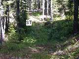 image33.jpg