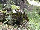 image38.jpg