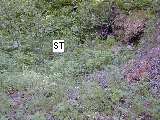 image39.jpg